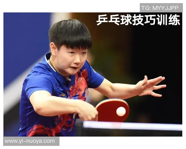 从零基础到高手之路乒乓球节奏与技巧全解析